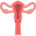 GINECOLOGIA